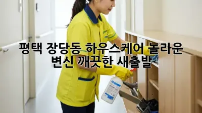 평택 장당동 하우스케어: 놀라운 변신, 깨끗한 새출발!